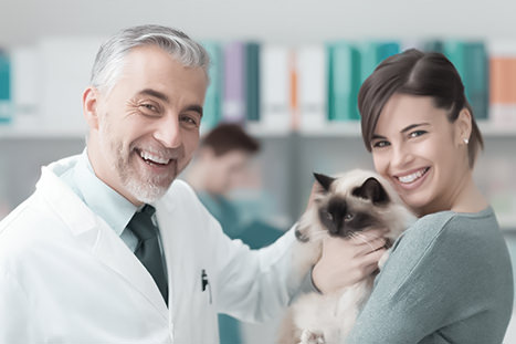 Veterinários e gatinho