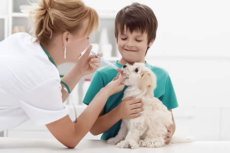 Veterinária criança e seu dog